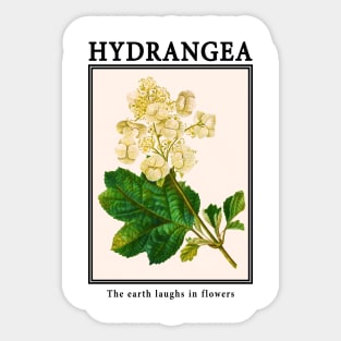 Hydrangea // Vintage Postcard Sticker